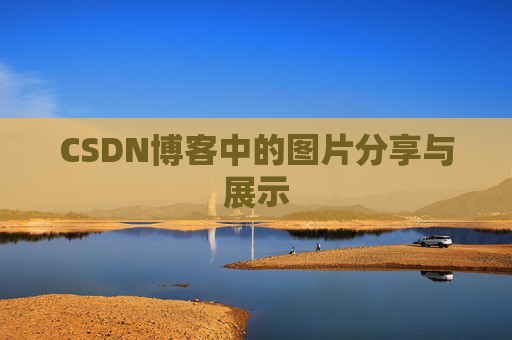 CSDN博客中的图片分享与展示